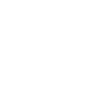 Image module
